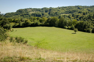 Scenic view of landscape against clear sky