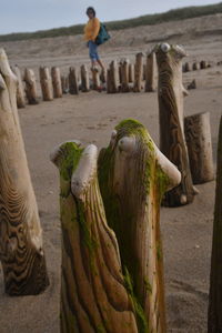 Statue of man on wooden post at beach