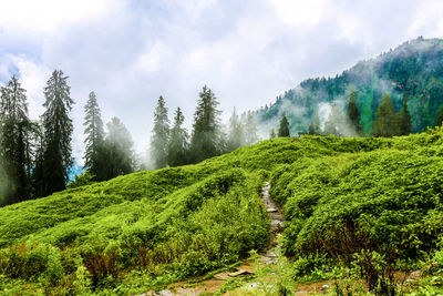 Beautiful nature view on himalayas in manali-india