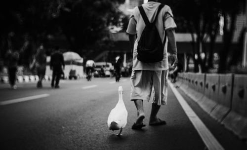 Rear view of man and goose walking on street