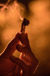 Close-up of person holding cigarette