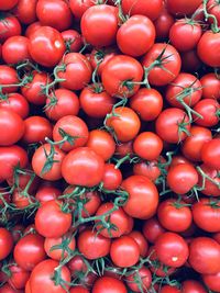 Full frame shot of tomatoes