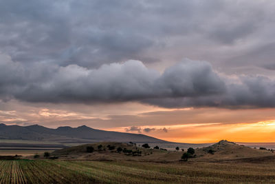 Scenic view of field against sky during sunset