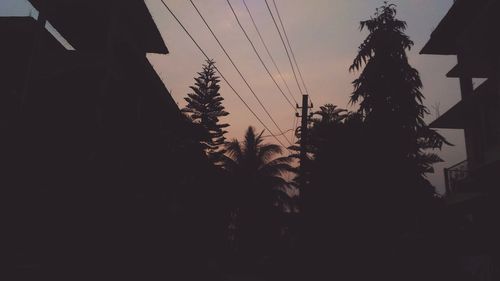 Silhouette of trees against sky at night