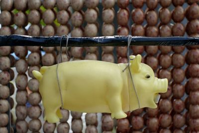 Close-up of toy pig hanging against pork balls at market for sale