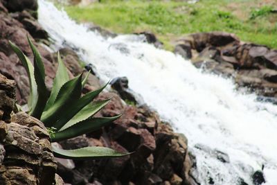 Close-up of waterfall on rocks