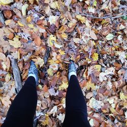 Burying my feet in freshly fallen leaves