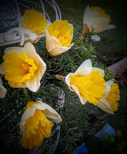 High angle view of yellow rose bouquet