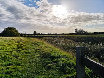 Scenic view of field against sky
