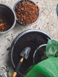 High angle view of food on potted plant