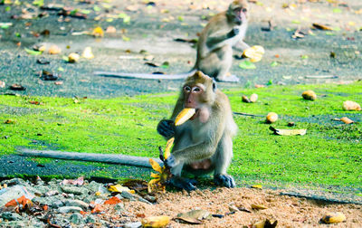 Young man eating food