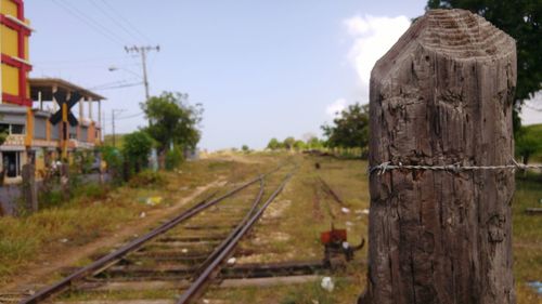 Railroad tracks amidst trees against sky