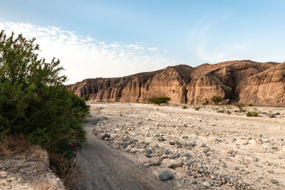 Scenic view of landscape against clear sky