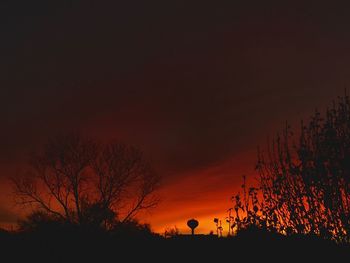 Silhouette bare trees against sky during sunset