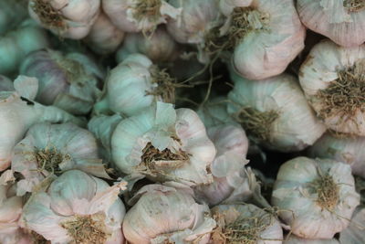Full frame shot of vegetables for sale in market