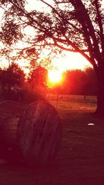 Scenic view of landscape at sunset