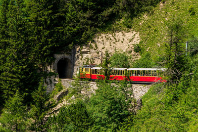 Train on the schynige platte above interlaken in switzerland.