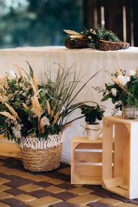 Potted plants on table