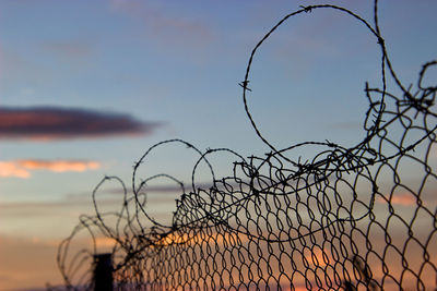 Close-up of silhouette barbed wire against sky during sunset