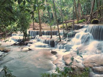 Scenic view of waterfall in forest
