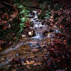 Stream flowing through rocks in forest