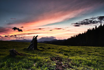 Scenic view of field against sky during sunset