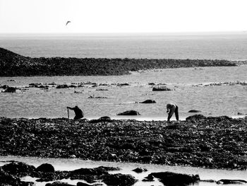 Two people on beach