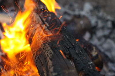 Close-up of fire on log