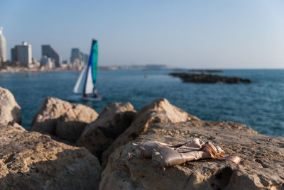 Rocks on beach against clear sky