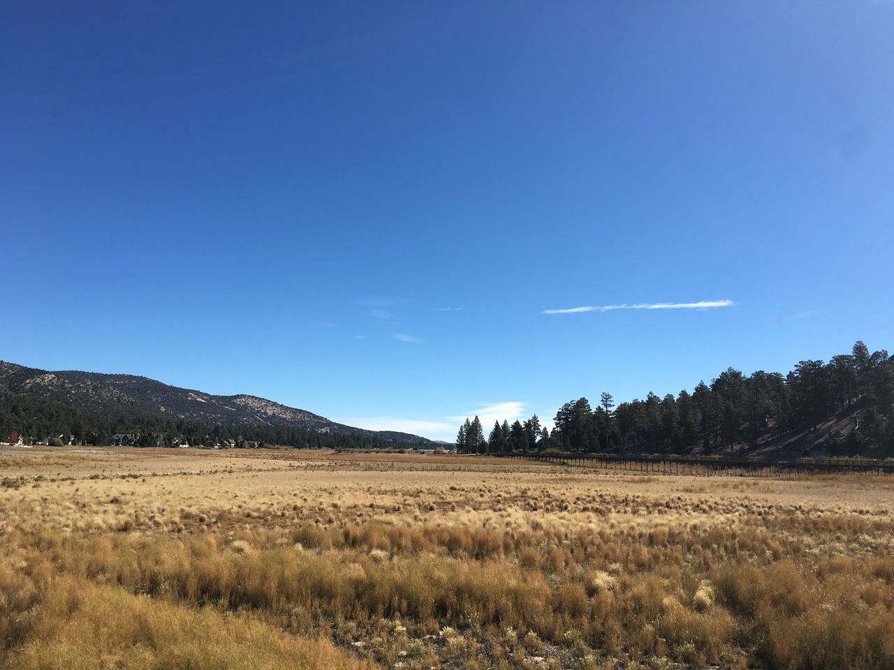 landscape, tranquil scene, blue, tranquility, clear sky, scenics, field, copy space, beauty in nature, nature, mountain, non-urban scene, growth, sky, tree, rural scene, grass, remote, plant, day