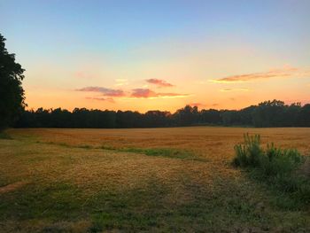 Scenic view of field against sky during sunset