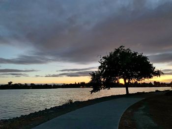 Silhouette tree by lake against sky at sunset