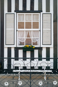 Potted plants on glass window of building