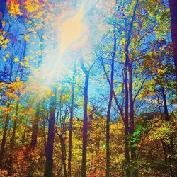 Scenic view of trees against sky