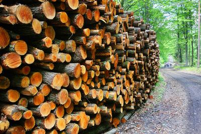 Stack of logs