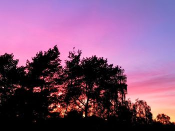 Low angle view of silhouette trees against sky during sunset