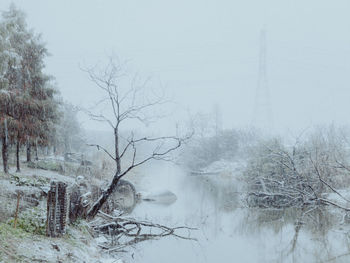 Bare trees on snow covered land against sky