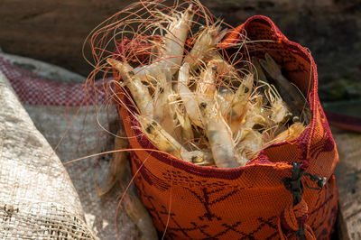 Close-up of shrimps in bag on sunny day