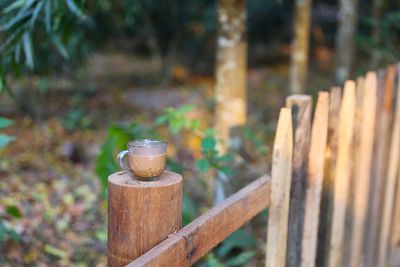 Tea cup on wooden railing over field