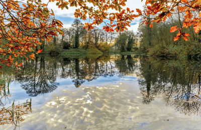 Reflection of trees in lake against sky