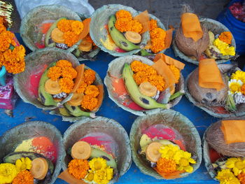 Close-up of multi colored flowers