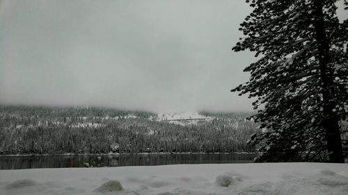 Trees on snow covered landscape against sky