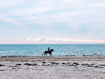 Man riding horse at beach against sky