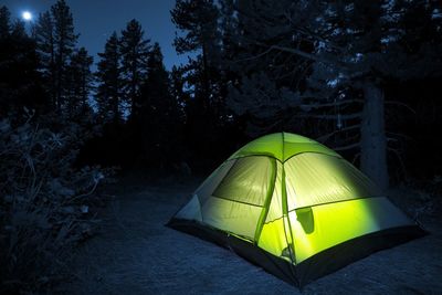 Illuminated green tent in forest at night