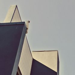 Low angle view of horse against clear sky