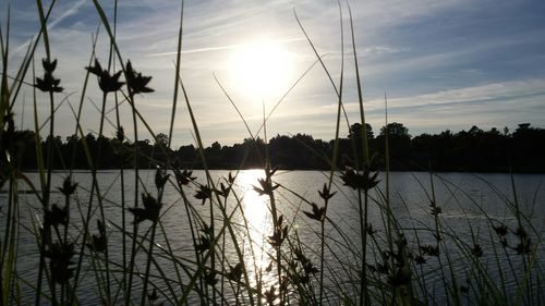Scenic view of lake at sunset