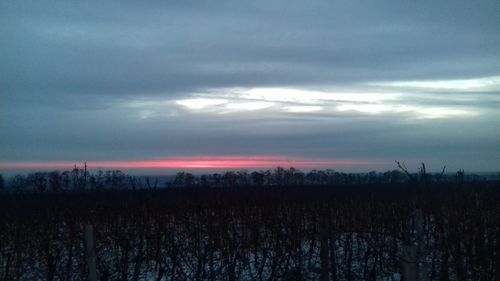 Scenic view of field against sky during sunset