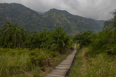 Scenic view of mountains