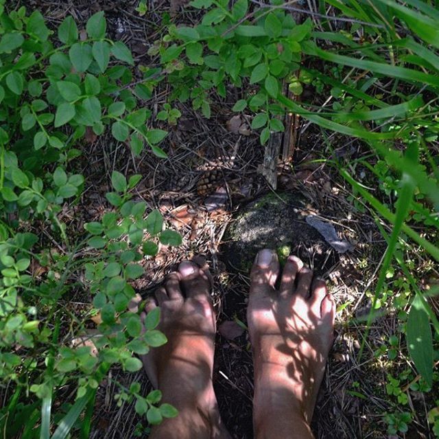 low section, personal perspective, person, grass, lifestyles, human foot, part of, green color, high angle view, leisure activity, leaf, field, barefoot, unrecognizable person, plant, nature