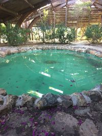 View of fish swimming pool